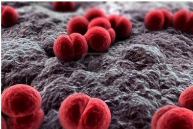 Tin tức cảnh báo nổi bật ngày 1/12: Hà Nội lại xuất hiện bệnh nguy hiểm