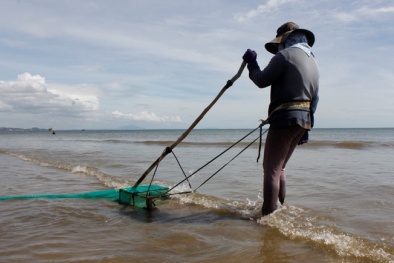 Kiếm 500.000 đồng/ngày bằng nghề cào chang chang ở Mũi Né