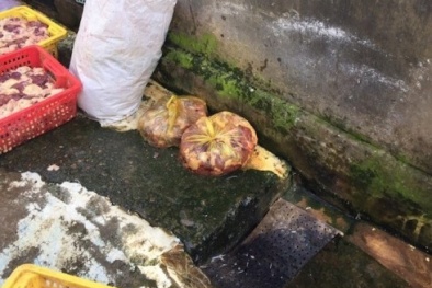 Phạt 40 triệu đồng cơ sở để 400kg thịt gà ở ngay miệng cống