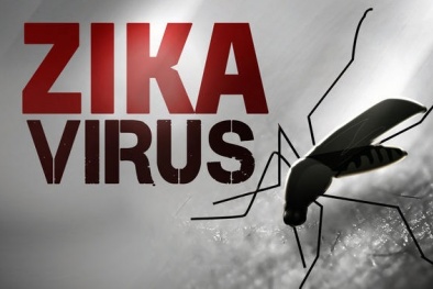 Tin tức cảnh báo nổi bật ngày 2/12: Virus Zika tấn công 80% số quận huyện ở TPHCM