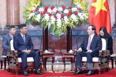 Chủ tịch nước Trần Đại Quang tiếp Bộ trưởng Bộ Nội vụ Myanmar