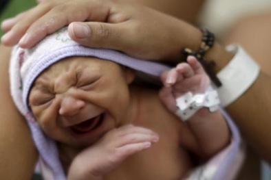 Tin tức cảnh báo nổi bật ngày 5/11: Họp khẩn xử lý dịch virus Zika tại Đồng Nai