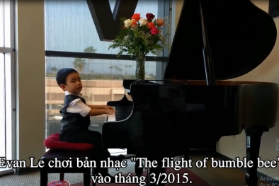 Khoảnh khắc đàn, hát gây sốt của 'thần đồng' gốc Việt Evan Le