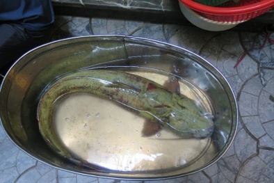 Đãi tiệc cuối năm bằng loạt 'cá khủng': Chi 200 triệu, đại gia không tiếc tiền