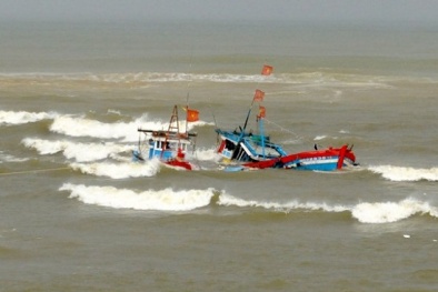 Quảng Ngãi: Tàu cá chìm, 4 ngư dân mất tích ngoài biển 