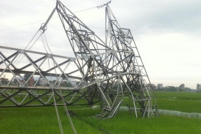 Làm rõ trách nhiệm vụ đổ cột điện 500 kV Quảng Ninh - Hiệp Hòa