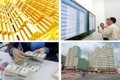 Chuyên gia mách nước: Những hướng đầu tư 'hái ra tiền' năm 2017