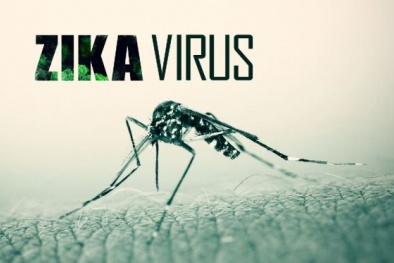 Tin cảnh báo nổi bật: Virus Zika tiếp tục tấn công 'kinh hoàng' ở TP HCM