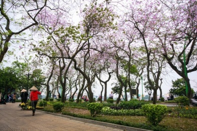 Dự báo thời tiết hôm nay (12/12): Bắc bộ sáng sớm có sương mù, thời tiết Nam bộ có mưa