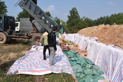 Tiêu hủy hơn 600 tấn hải sản chứa chất độc Cadimi vượt ngưỡng an toàn