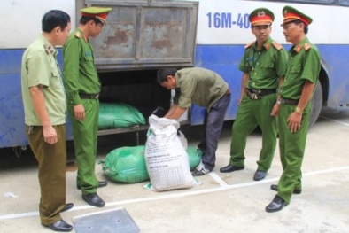 Hàng loạt xe khách chở thực phẩm bẩn về miền Tây bị bắt giữ
