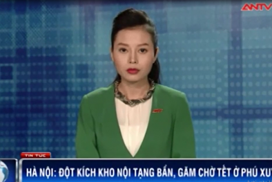 Clip: Phát hiện gần 1 tấn nội tạng bẩn 'găm' chờ Tết ở Hà Nội