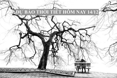 Dự báo thời tiết hôm nay (14/12): Hà Nội đón rét 15 độ, Trung bộ có mưa lớn