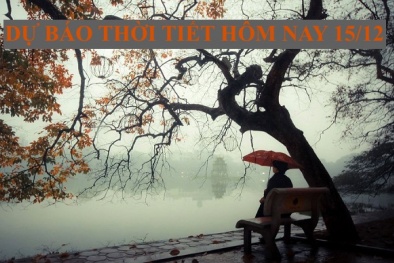 Dự báo thời tiết hôm nay 15/12: Tin mới nhất gió mùa Đông Bắc