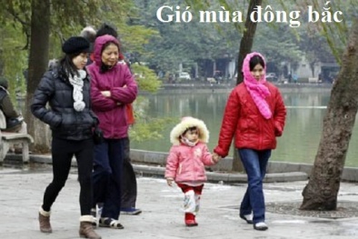 Tin gió mùa đông bắc mới nhất: Hà Nội nhiệt độ thấp 13-16 độ C