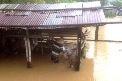 Lũ lụt miền Trung: Đưa heo đi tránh lũ, bị điện giật tử vong