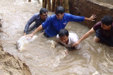 Lũ lụt miền Trung: Nhặt ví hộ chị gái, em trai bị lũ cuốn trôi
