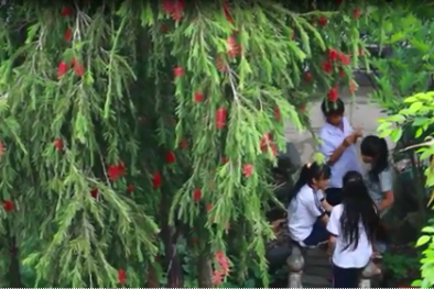 Ngôi trường '3 không' ở Long An: Không học phí, không nhận lương, không trượt tốt nghiệp