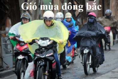 Tin tức gió mùa đông bắc mới nhất: Hà Nội tiếp tục rét đậm hơn