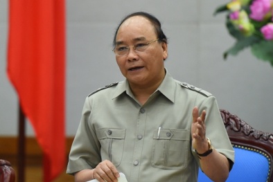 Chỉ thị của Thủ tướng: Tết không tặng quà lãnh đạo