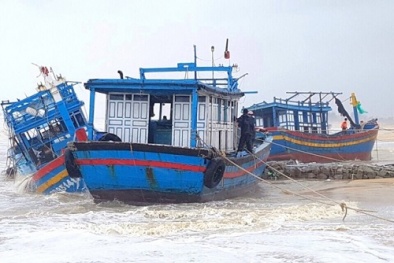 Lũ lụt miền Trung: Ngư dân 'cả đời bám biển chưa bao giờ chứng kiến cảnh tượng này'
