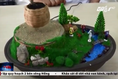 Bonsai bay: Mốt mới Tết Đinh Dậu 2017