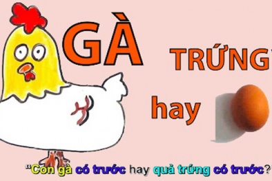 Khoa học tìm ra đáp án 'Gà hay trứng có trước' như thế nào?