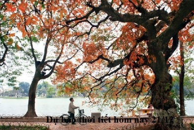 Dự báo thời tiết hôm nay 21/12: Bắc bộ hanh khô