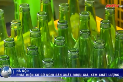 Clip: 'Đột kích' lò rượu giả sắp bung hàng Tết ở Hà Nội