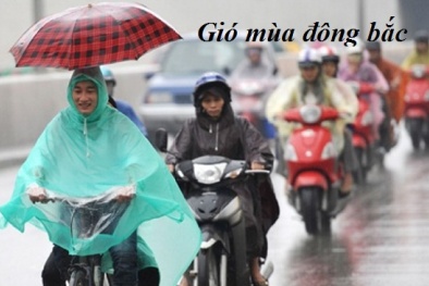 Tin tức gió mùa đông bắc mới nhất hôm nay: Hà Nội chuyển rét 16 độ C