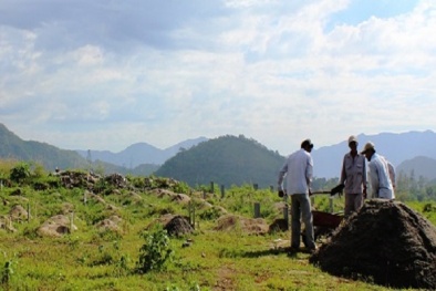 Bị 'ép' chuyển mồ cụ tổ để lấy đất xây chùa, dân được bồi thường thế nào?