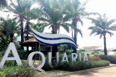 Xử phạt Nhà hàng – Quần thể ẩm thực Aquaria ở Mỹ Đình