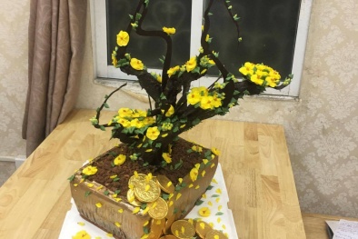 Cận cảnh 'cây mai không tàn' Tết Nguyên đán có giá tiền triệu sốt hàng