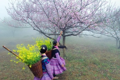 Không khí lạnh bao trùm miền Bắc, miền Trung chuẩn bị chống lũ