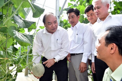Thủ tướng đồng ý cho Bình Phước xây dựng khu nông nghiệp công nghệ cao