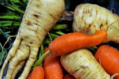 Tết Đinh Dậu 2017: Đón đầu những xu hướng chăm sóc sức khỏe tốt nhất