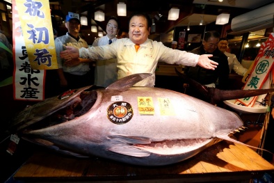 Đại gia chi ‘khủng’ 14 tỷ mua 1 con cá ngừ vây xanh nặng 212kg