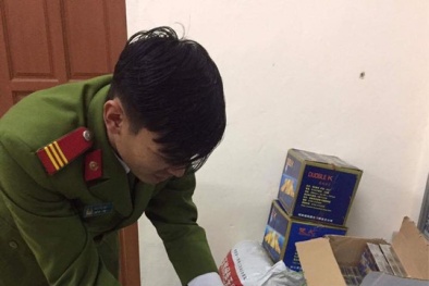 Bắt giữ hơn 500 kg hạt hướng dương có xuất xứ từ Trung Quốc