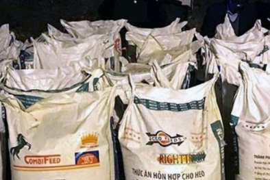 Quảng Ninh: Bắt giữ hơn 3 tấn thuốc nổ, vật liệu nổ trái phép