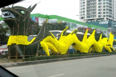 Rồng vàng ở Hải Phòng bị 'bóc vảy', hết 'ngô nghê'