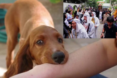 Bí ẩn chuyện người bị chó cắn 'phát dại' khi đến đám tang