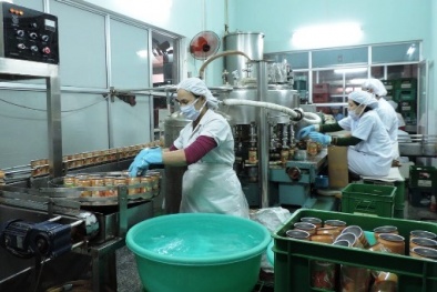 Các hoạt động chính của công cụ quản lý TPM