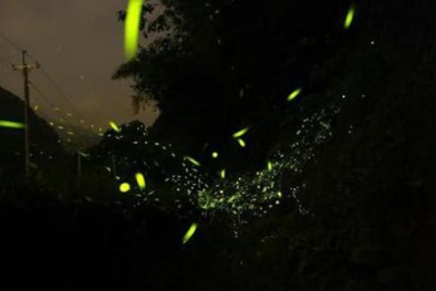 Giải mã bí ẩn về những đốm sáng lập loè ngoài nghĩa địa