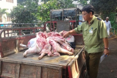 Người đàn ông mang gần 300kg thịt heo thối từ Đồng Nai về bán ở Bình Dương
