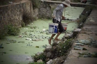 Giật mình khi xem 'rau sạch' được tưới nước thải tại Hà Nội