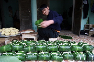 Ghé làng bánh chưng Tranh Khúc nổi tiếng đất Hà Thành vào dịp Tết