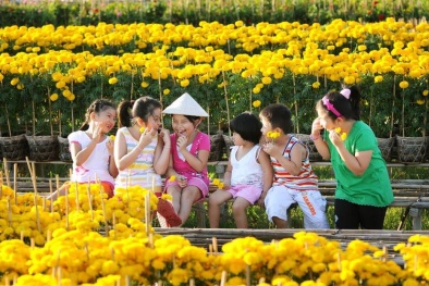 Làng hoa Sa Đéc hút khách dịp giáp Tết