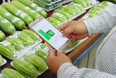 Hôm nay, người dân TP.HCM chính thức truy xuất được nguồn gốc rau quả trên điện thoại