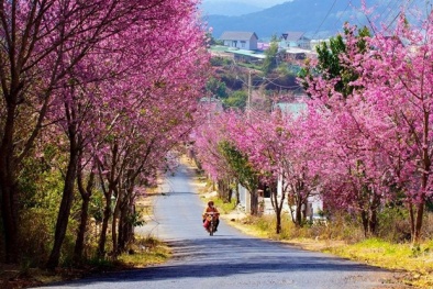 4 điểm đến hấp dẫn cho chuyến du xuân đầu năm 