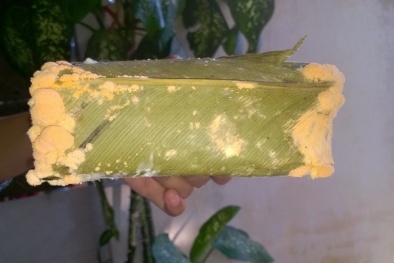 Ăn bánh chưng mốc ngày Tết và mối nguy hiểm cần tránh